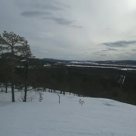 Kunkku * Kuivakangas