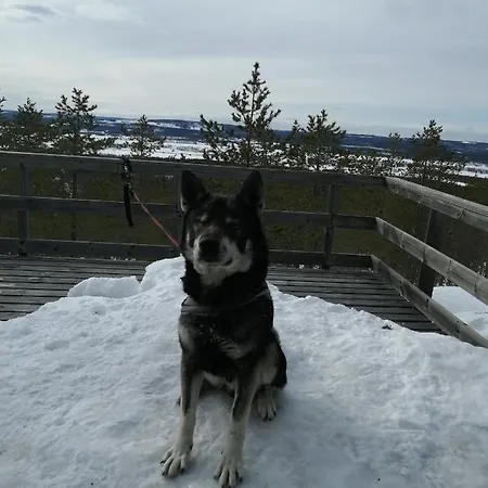 Alpehytte Kunkku *