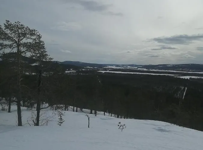 Kunkku * Kuivakangas