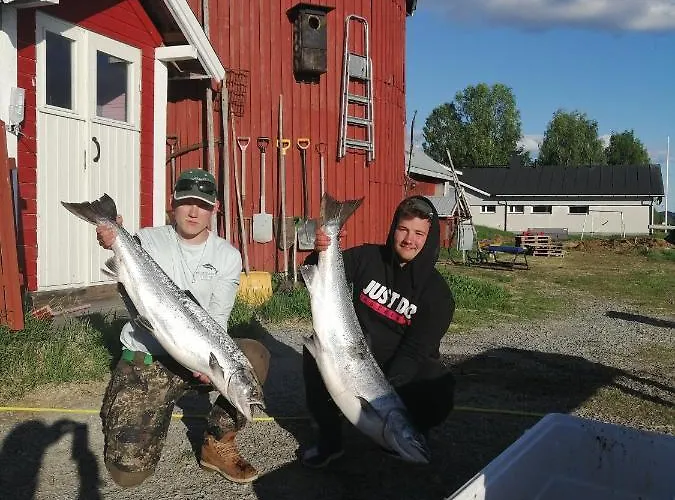 Alpehytte Kunkku Kuivakangas